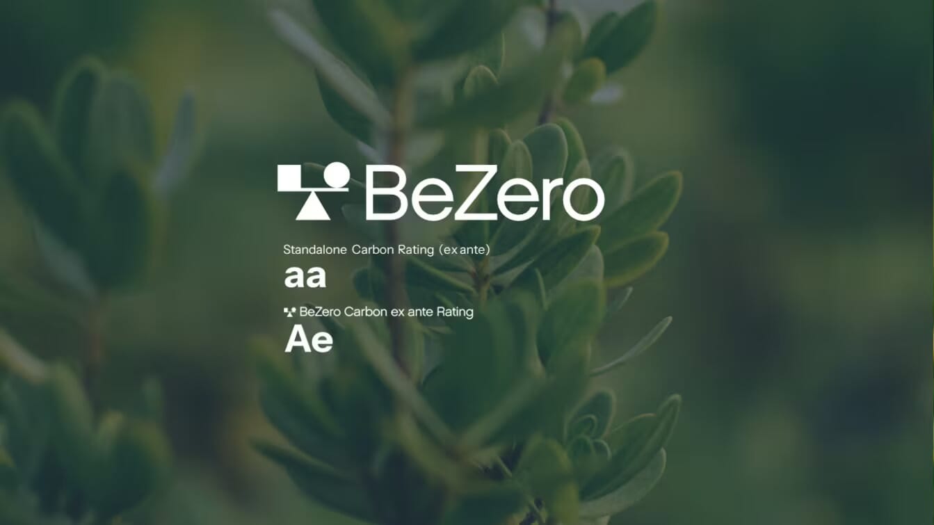 Imperative-BeZero-Ex-Ante-Tile-8
